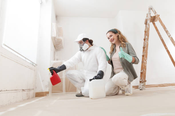 Best Black Mold Removal  in Slater, MO